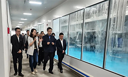 江西省副省長(zhǎng)任珠峰一行蒞臨江西新綠色藥業(yè)調(diào)研